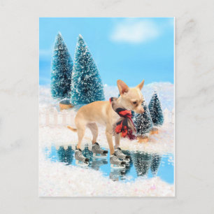Cartes Pour Fêtes Annuelles Chiwawa drôle avec l'écharpe et les patins