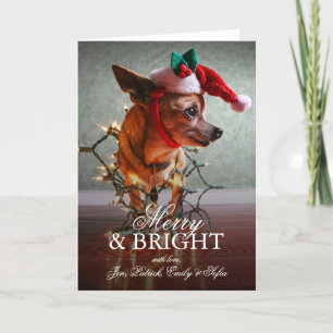Cartes Pour Fêtes Annuelles Chiwawa mignon avec un casquette de Père Noël