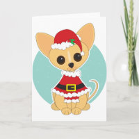 Chiwawa Père Noël
