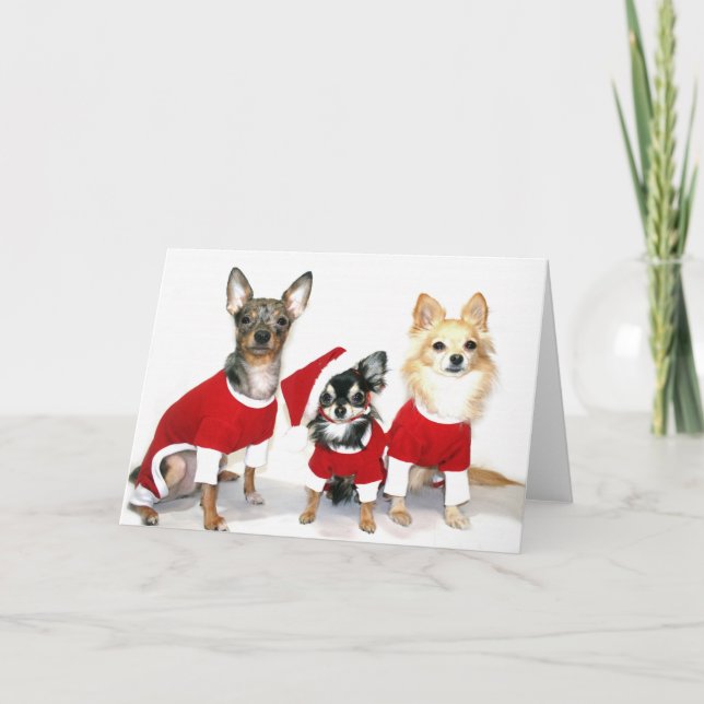 Cartes Pour Fêtes Annuelles Chiwawas de Noël (Devant)