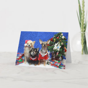 Cartes Pour Fêtes Annuelles Chiwawas de Noël