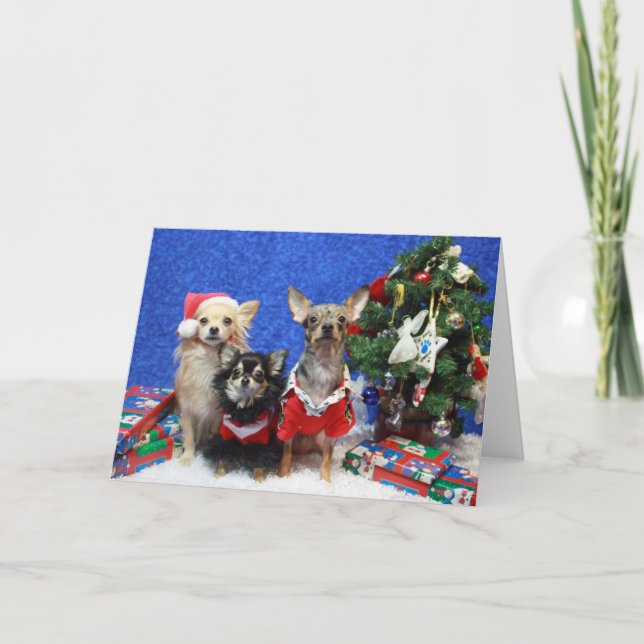 Cartes Pour Fêtes Annuelles Chiwawas de Noël (Devant)