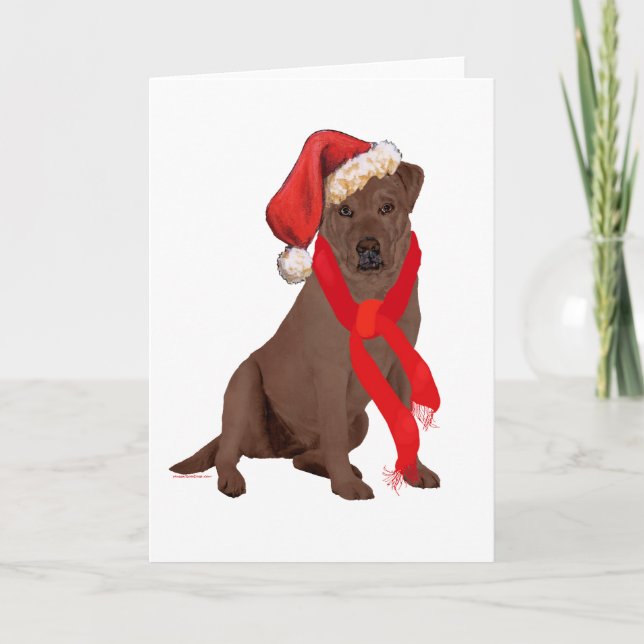 Cartes Pour Fêtes Annuelles Chocolate Labrador (Devant)