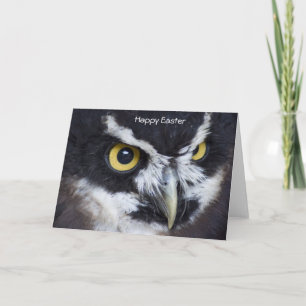 Cartes Pour Fêtes Annuelles Chouette blanche et noire Pâques