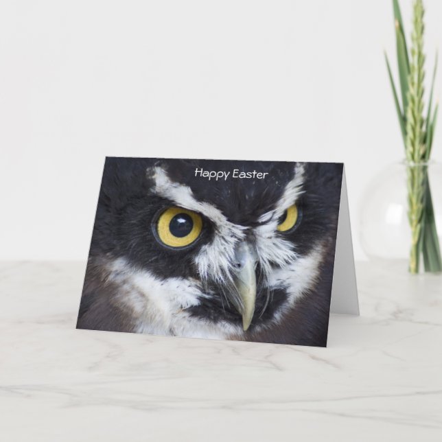 Cartes Pour Fêtes Annuelles Chouette blanche et noire Pâques (Devant)