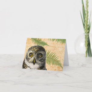 Cartes Pour Fêtes Annuelles Chouette et fougères