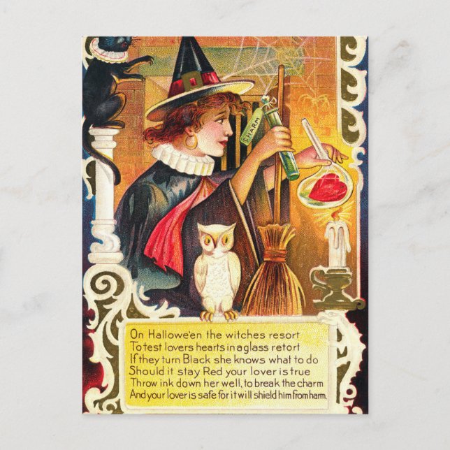 Cartes Pour Fêtes Annuelles Chouette vintage Halloween (Devant)
