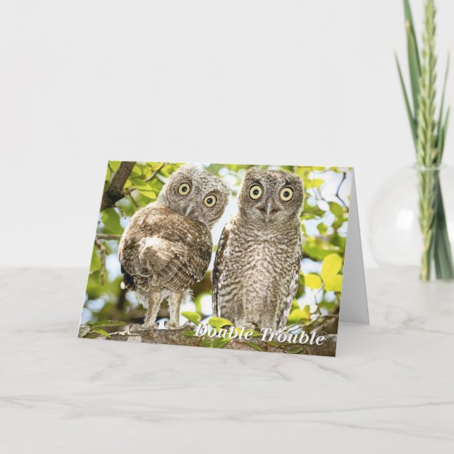 Cartes Pour Fêtes Annuelles Chouettes à cris chèvres chicks chicks (Devant)