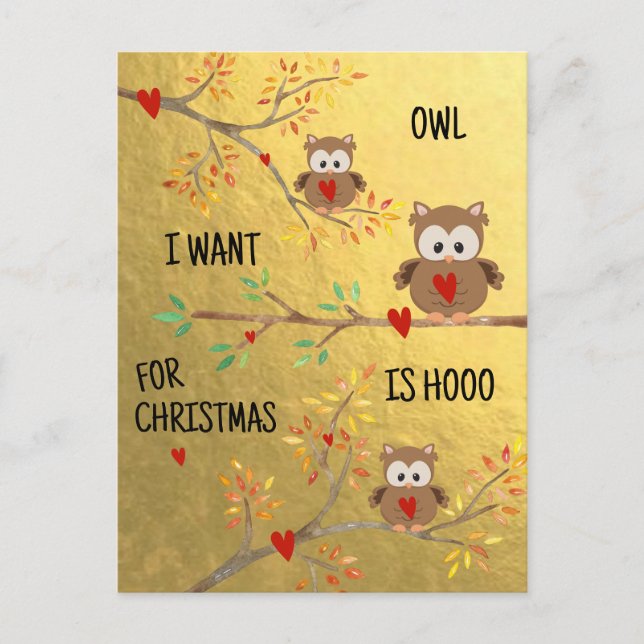 Cartes Pour Fêtes Annuelles Chouettes mignonnes | Chouette que je veux pour No (Devant)