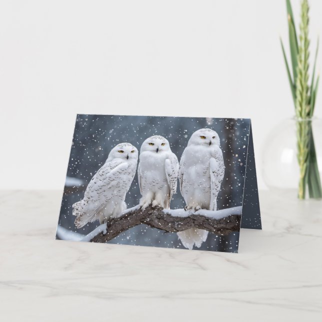 Cartes Pour Fêtes Annuelles Chouettes neigeuses de Noël (Devant)