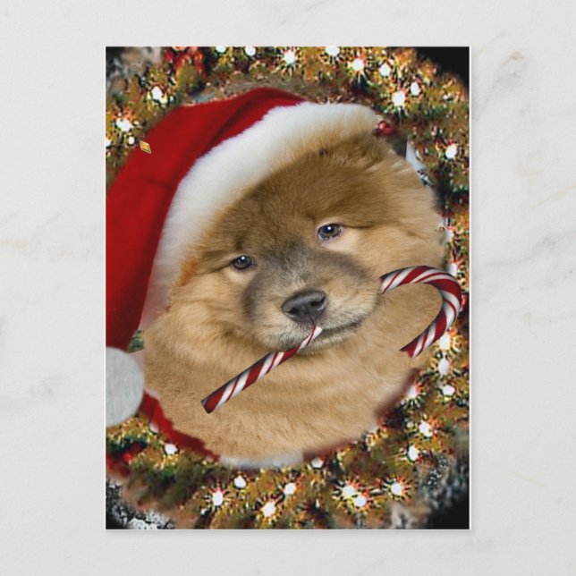 Cartes Pour Fêtes Annuelles Chow Chow Noël cadeaux de Sucre de canne (Devant)