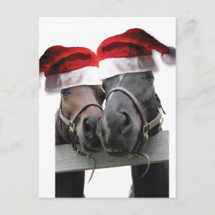 Cartes Pour Fêtes Annuelles Chrismas Horses