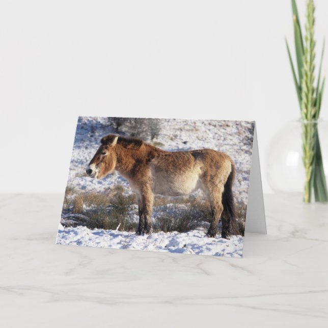 Cartes Pour Fêtes Annuelles Christcard (Devant)