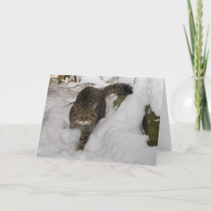 Cartes Pour Fêtes Annuelles Christmas