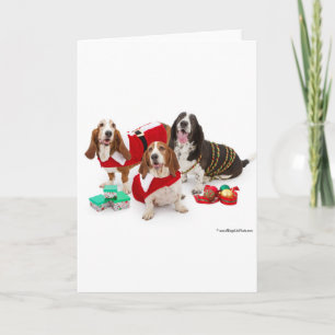 Cartes Pour Fêtes Annuelles christmas bassund