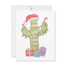 Christmas Cactus