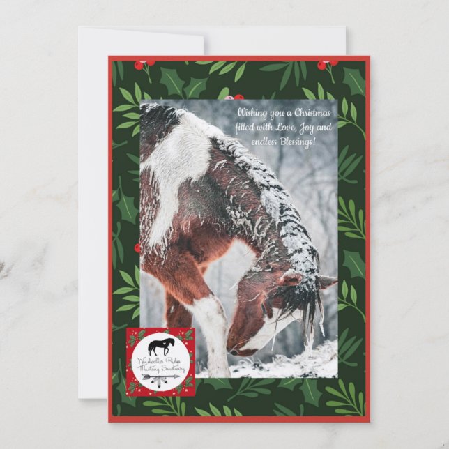 Cartes Pour Fêtes Annuelles Christmas Cards (Devant)