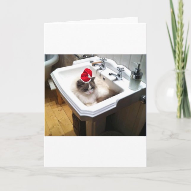 Cartes Pour Fêtes Annuelles Christmas Cat (Devant)