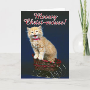 Cartes Pour Fêtes Annuelles Christmas Cat
