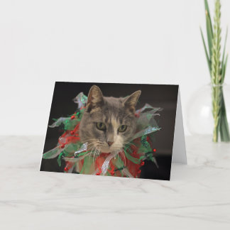 Cartes Pour Fêtes Annuelles Christmas Cat
