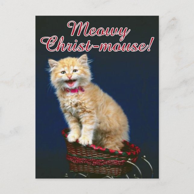 Cartes Pour Fêtes Annuelles Christmas Cat (Devant)