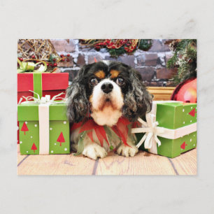 Cartes Pour Fêtes Annuelles Christmas - Cavalier King Charles Spaniel - Rose