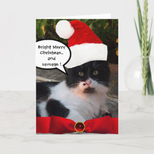CARTES POUR FÊTES ANNUELLES CHRISTMAS CHAT AVEC CASQUETTE SANTA CLAUS ET RIBBO