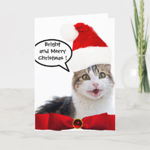 CARTES POUR FÊTES ANNUELLES CHRISTMAS CHAT AVEC CASQUETTE SANTA CLAUS ET RIBBO
