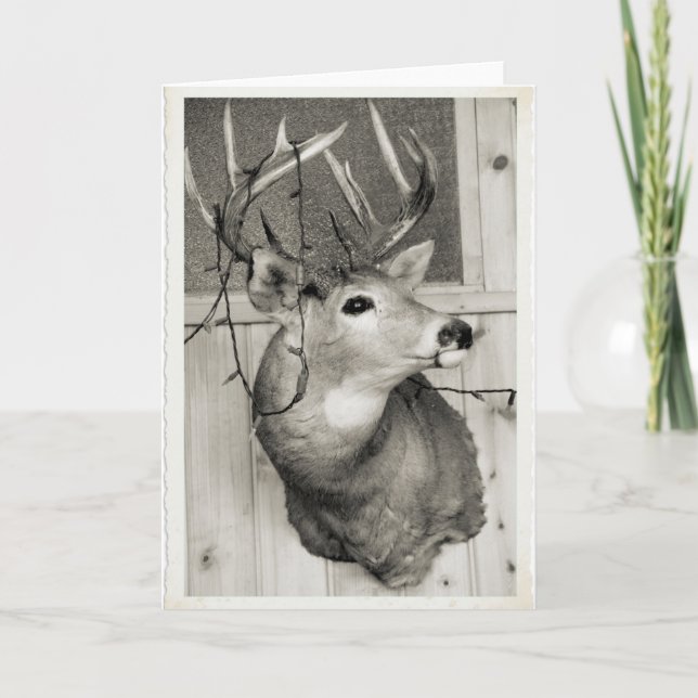 Cartes Pour Fêtes Annuelles Christmas dans le Wisconsin (Devant)