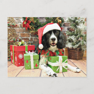 Cartes Pour Fêtes Annuelles Christmas - English Springer Espagne - Lucy