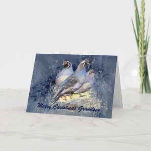 Cartes Pour Fêtes Annuelles Christmas Grandson California Quail Bird