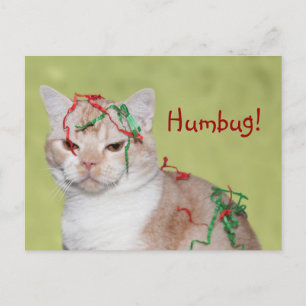 Cartes Pour Fêtes Annuelles Christmas Humbug