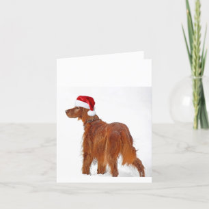 Cartes Pour Fêtes Annuelles Christmas Irish Setter