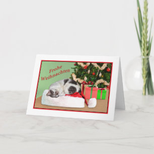 Cartes Pour Fêtes Annuelles Christmas, joyeux Noël, German, Sleeping Cat