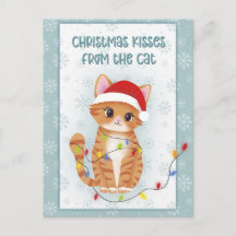 Christmas Kisses from the Cat
