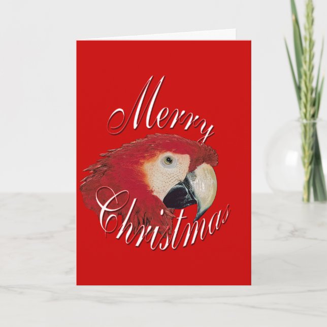Cartes Pour Fêtes Annuelles Christmas Macaw (Devant)