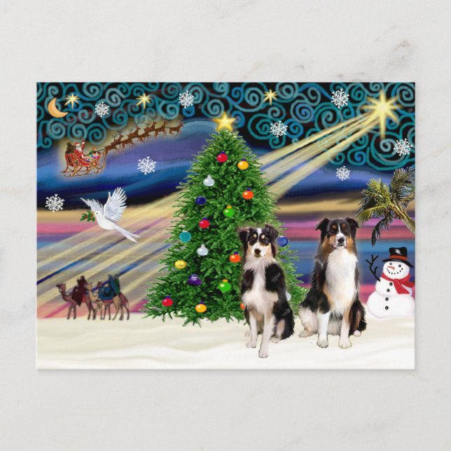 Cartes Pour Fêtes Annuelles Christmas Magic Australian Shepherds (deux, 6-7) (Devant)