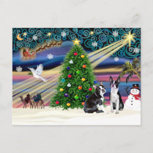 Cartes Pour Fêtes Annuelles Christmas Magic-Boston Terrier (2)