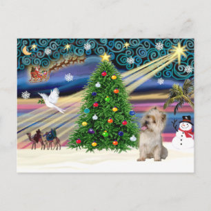 Cartes Pour Fêtes Annuelles Christmas Magic Cairn Terrier (Blé Jaune)