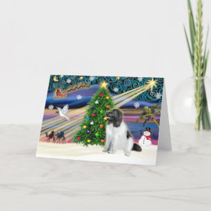 Cartes Pour Fêtes Annuelles Christmas Magic Terre-Neuve (Landseer)
