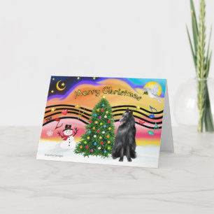 Cartes Pour Fêtes Annuelles Christmas Music 2 - Belge Sheepdog