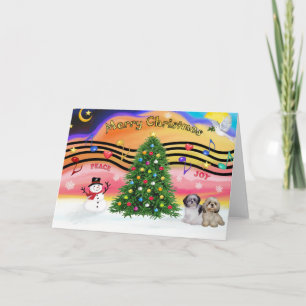 Cartes Pour Fêtes Annuelles Christmas Music 2 - Shih Tzu (Pair 2)