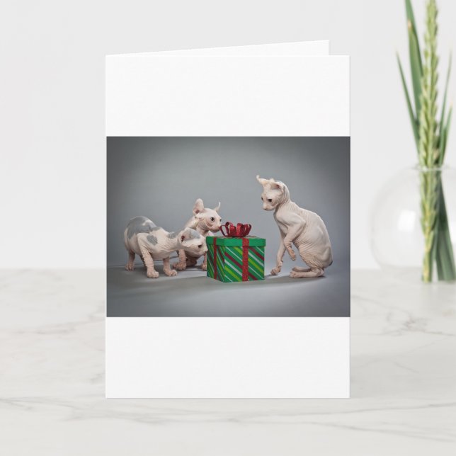 CARTES POUR FÊTES ANNUELLES CHRISTMAS SANS CHEVEUX (Devant)