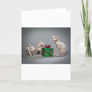 CARTES POUR FÊTES ANNUELLES CHRISTMAS SANS CHEVEUX