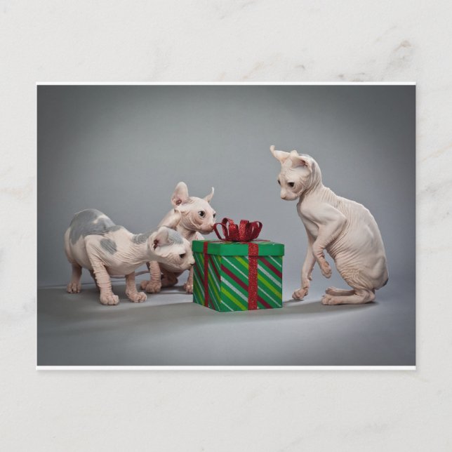 CARTES POUR FÊTES ANNUELLES CHRISTMAS SANS CHEVEUX (Devant)