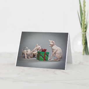 CARTES POUR FÊTES ANNUELLES CHRISTMAS SANS CHEVEUX