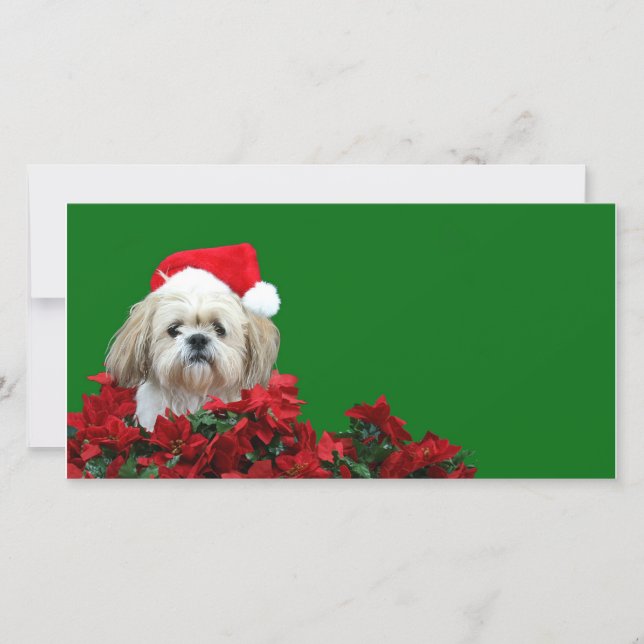 Cartes Pour Fêtes Annuelles Christmas Shih Tzu (Devant)
