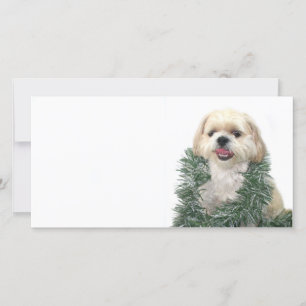Cartes Pour Fêtes Annuelles Christmas Shih Tzu