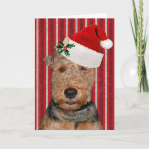 Cartes Pour Fêtes Annuelles Christmas Welsh Terrier avec Casquette