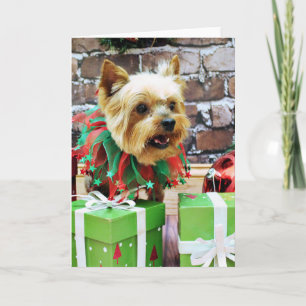 Cartes Pour Fêtes Annuelles Christmas - Yorkie - Willie